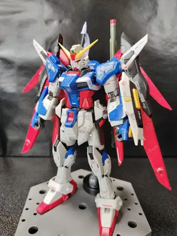 RG ZGMF-X42S 데스티니 건담 완성품