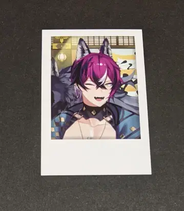 니지산지 가요제 2024 도피오 드롭 사이트 폴라로이드풍 카드