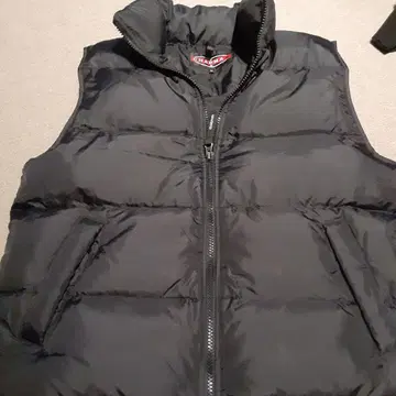 CHAPMAN 다운 베스트