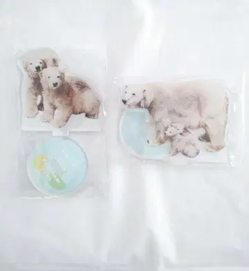 야기야마 동물공원 북극곰 아크릴 스탠드 2개 세트