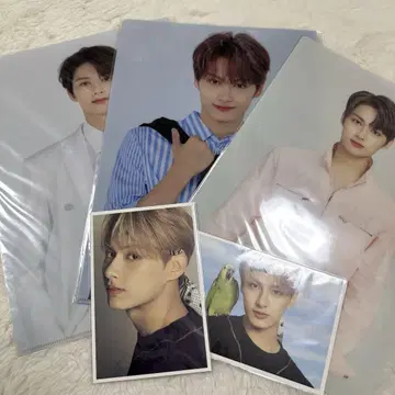 SEVENTEEN 세븐틴 준 클리어 파일 엽서