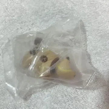 오야사이 베코 나라분데스 표고버섯
