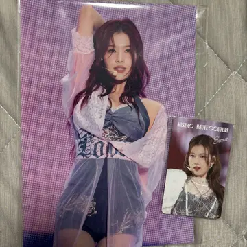 MISAMO 사나 오토 튤 혜택