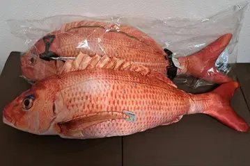 도미 백과 봉제 인형
