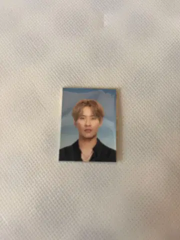 후카호리 미쿠 증명사진