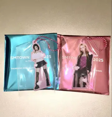 SMTOWN 2025 aespa 윈터 닝닝 미니 아크릴 키링