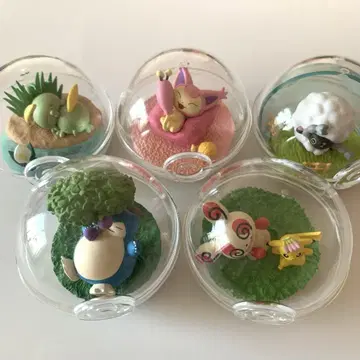 포켓몬 테라리움 컬렉션 HAPPY한 매일 5종 세트