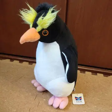 가이유칸 바위뛰기펭귄 봉제 인형 약 30cm