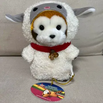 아라이구마 라스칼 세키구치 알파 양