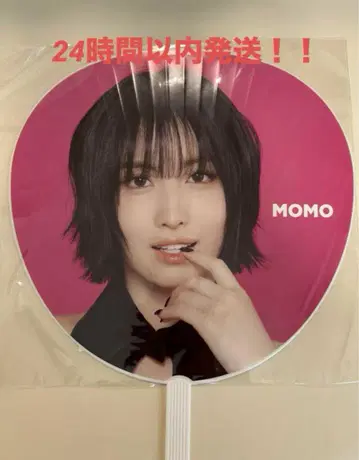 TWICE MOMO 허벅지 부채 THIS IS FOR WORLD TOUR
