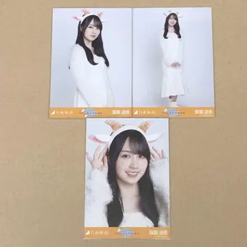 노기자카46 카키 하루카 브로마이드 곤소 머리띠 컴프