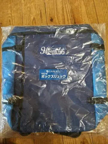 히나타자카46 제일복권 라스트상 박스 백팩