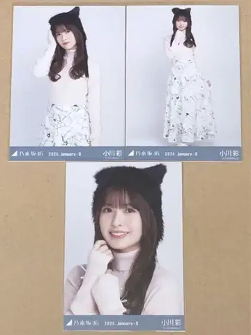 노기자카46 오가와 아야 브로마이드 고양이 귀 니트 모자 컴프