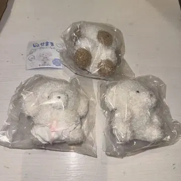 죠세마루 화이트 오빤쓰 라테