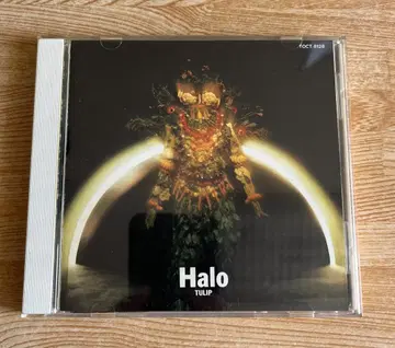 (단종 CD) Halo 헤이로우 / 튤립