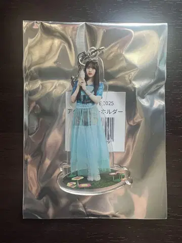 노기자카46 노기 카페 아크릴 키링 카와사키 벚꽃