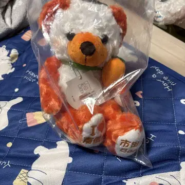 고토치 베어