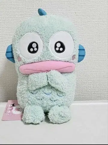 유루카와 산리오 캐릭터즈 큐루포테 M 봉제 인형 한교동