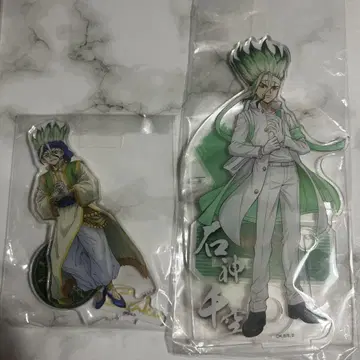 Dr.STONE 닥터 스톤 이시가미 센쿠