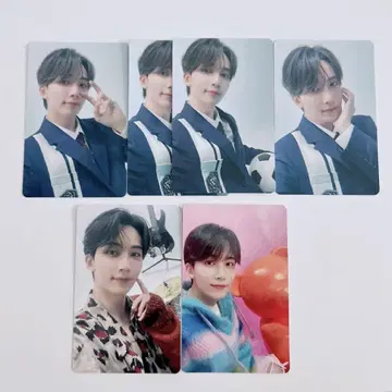 seventeen 트레이딩 카드 정한