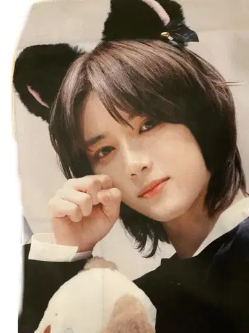txt 범규 슬로건 고양이