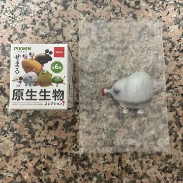 익명 배송 다가오는 원생생물 부타독쿠리