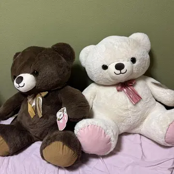 곰 봉제 인형 브라운 & 화이트 2개 세트