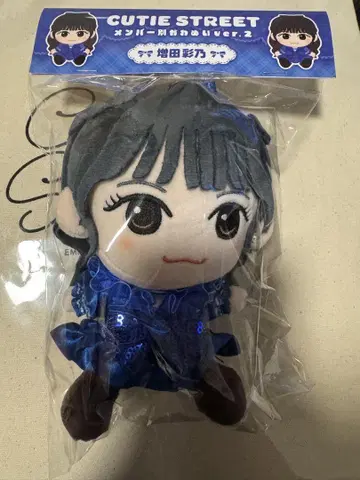 마스다 아야노 큥스토 치비누이 카와누이