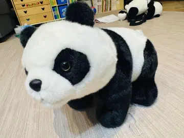 팬더 봉제 인형 중형