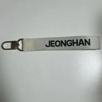 SEVENTEEN 정한 키링