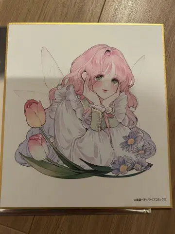 꽃 숨긴 너의 메테올 스텔라 미니 색지