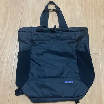 Patagonia Lightweight Travel Tote PACK