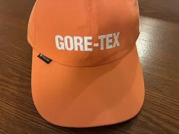 Palace Skateboards Gore Tex 캡