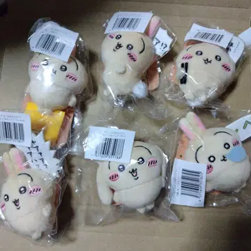 토끼 투성이 배지 컴프