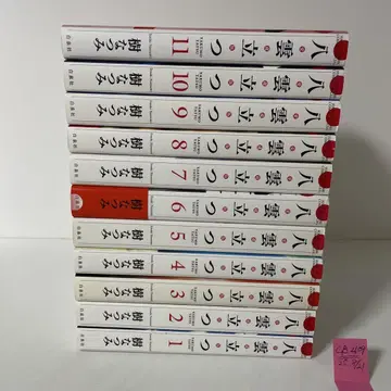 애장판 야쿠모가 일어선다 전11권 완결 세트 이츠키 나츠미
