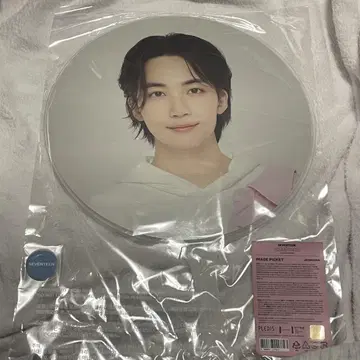 SEVENTEEN 정한 부채