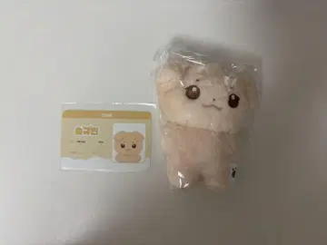 제베원 김규빈 10cm 인형 봉제인형
