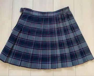 American Apparel 체크 무늬 플리츠 스커트 M