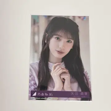 야다 모에카 브로마이드