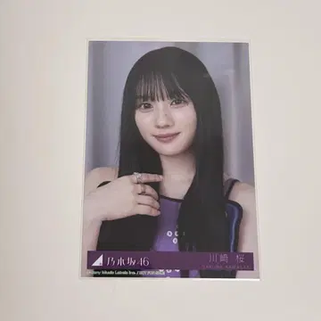 카와사키 벚꽃 브로마이드