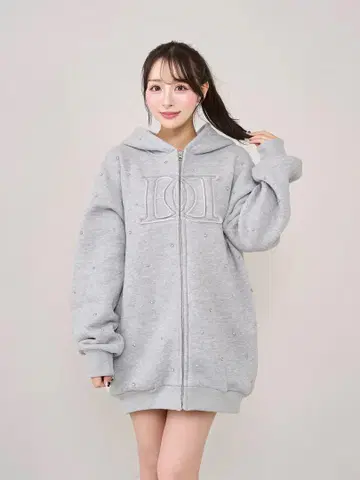 DD 로고 비쥬 지퍼 후드티 GRY 그레이 darich 다리치