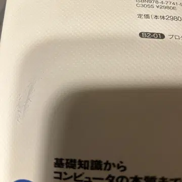 견본