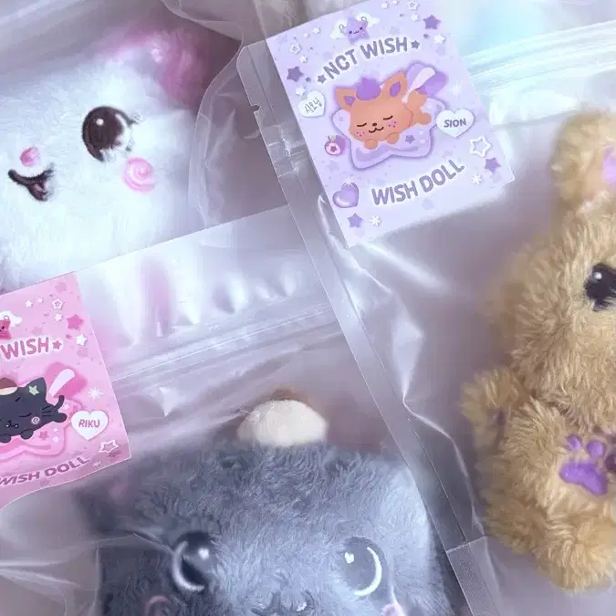 nctwish wishdoll クリ nct Wish Doll Kuri Bubble Cat | eBay