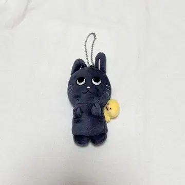 RIIZE 원빈 냥독 키링