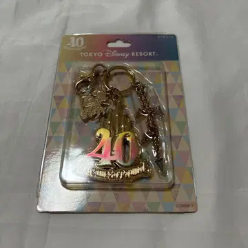 디즈니 리조트 40주년 키체인
