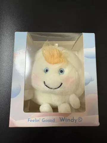 후지이 카제 windy