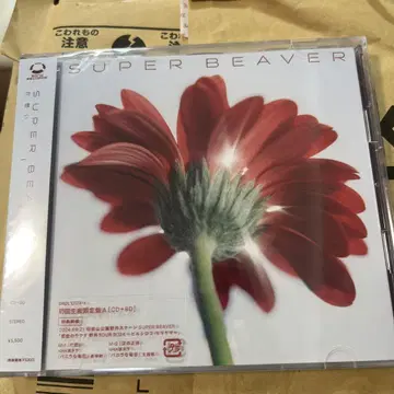 짝사랑/눈물의 정체