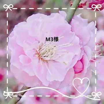 M3 님 멀티 커버
