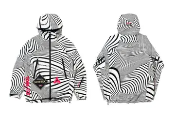 PALACE VORTEX 마운틴 파카