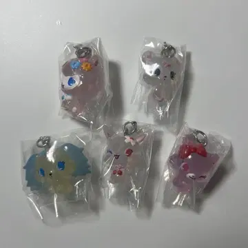 주얼펫 메지루시 액세서리 컴프